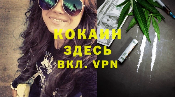 mdpv Новозыбков