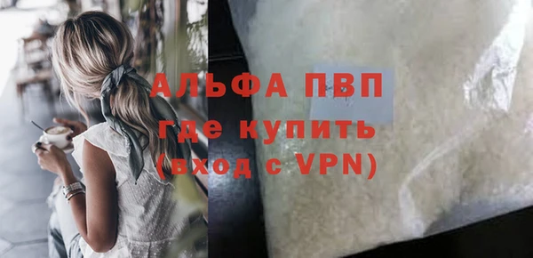тгк Новодвинск