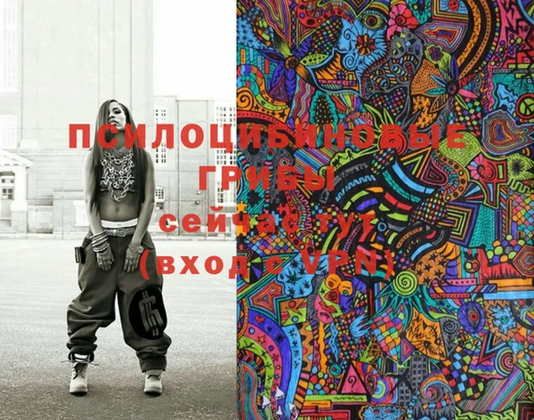 тгк Новодвинск