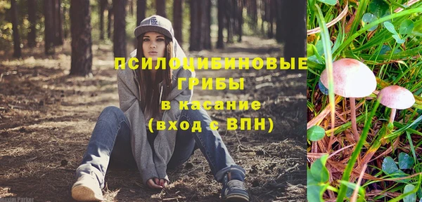 ПСИЛОЦИБИНОВЫЕ ГРИБЫ Бородино