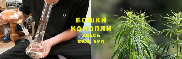 mdpv Новозыбков