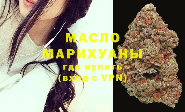 тгк Новодвинск