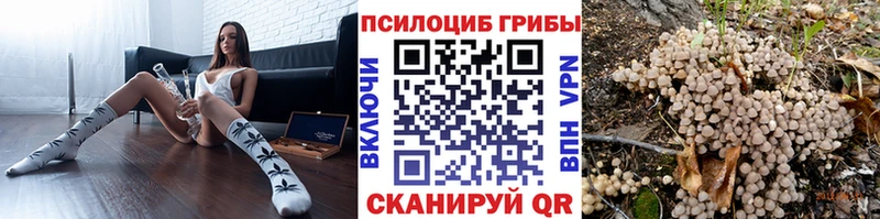 Псилоцибиновые грибы Psilocybine cubensis  Киров 