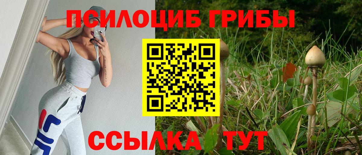 Псилоцибиновые грибы ЛСД Киров